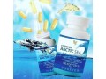 forever-arctic-sea-suplemento-nutraceutico-kit-c-2-potes-small-3