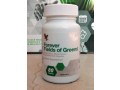 forever-fields-of-greens-suplemento-nutraceutico-kit-c-4-potes-small-3