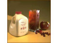 aloe-berry-nectar-kit-com-4-litros-small-3