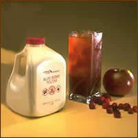 aloe-berry-nectar-kit-com-4-litros-big-3