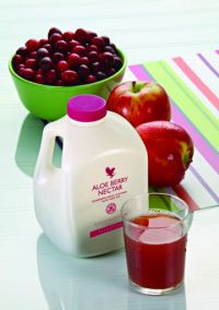 aloe-berry-nectar-kit-com-4-litros-big-2